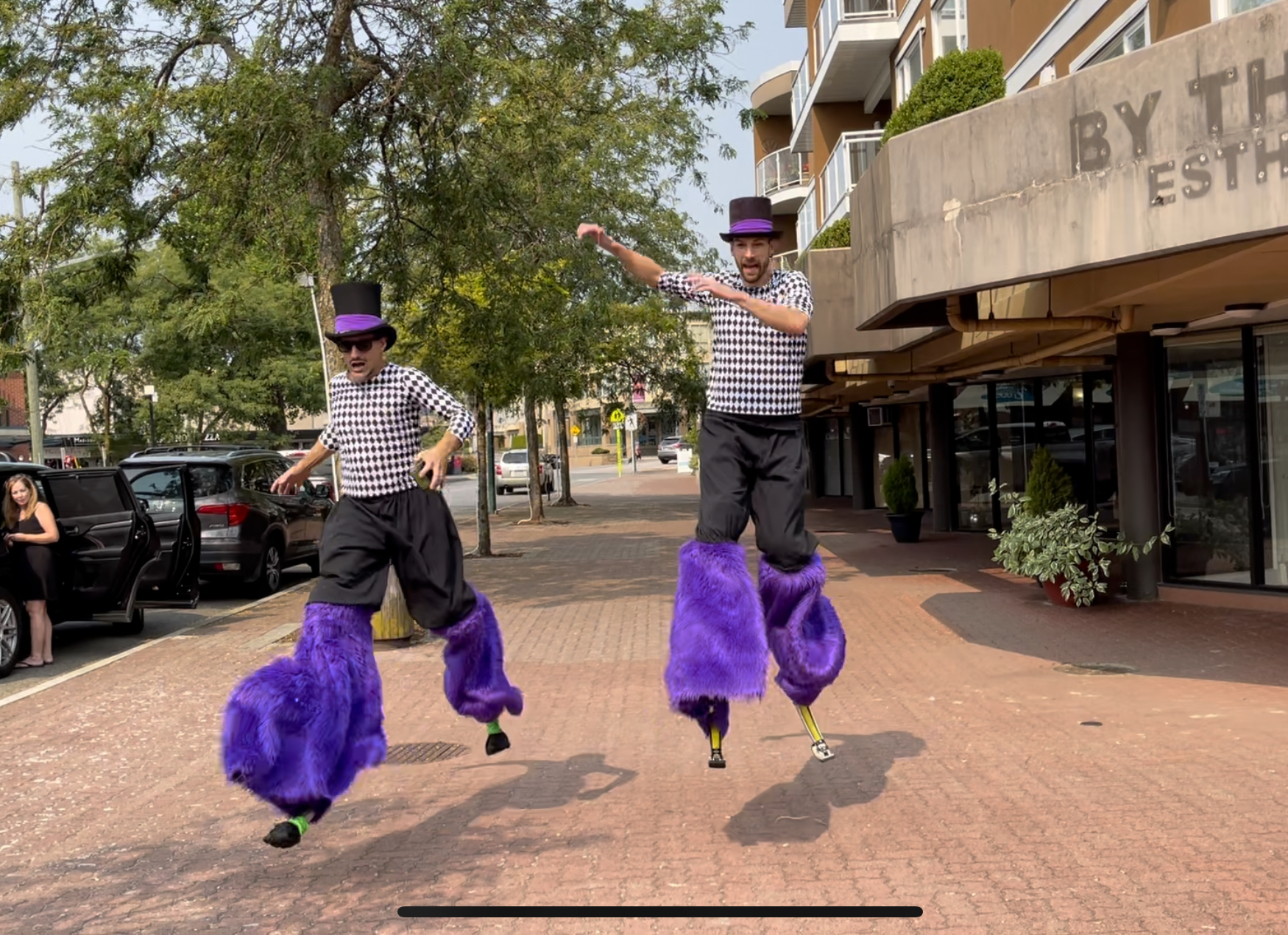 Bouncy Bros.