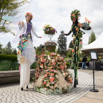 Stilt-Walkers