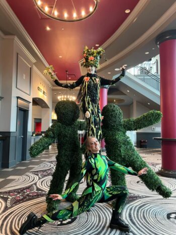 Living Hedges – Hedge Perfomers