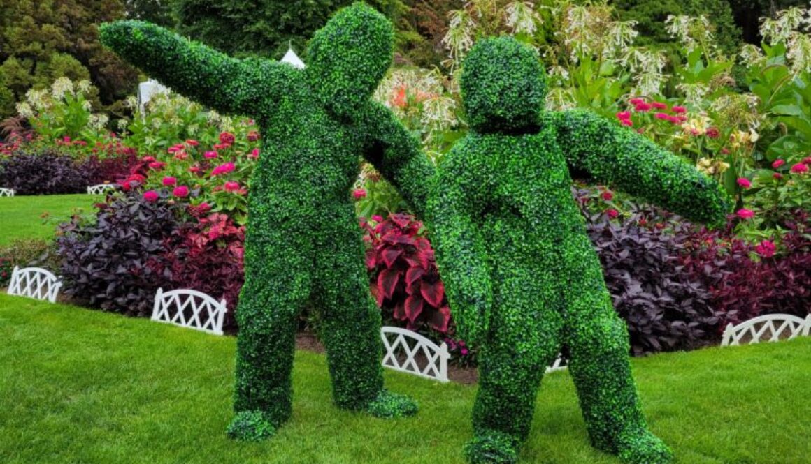 Hedges1